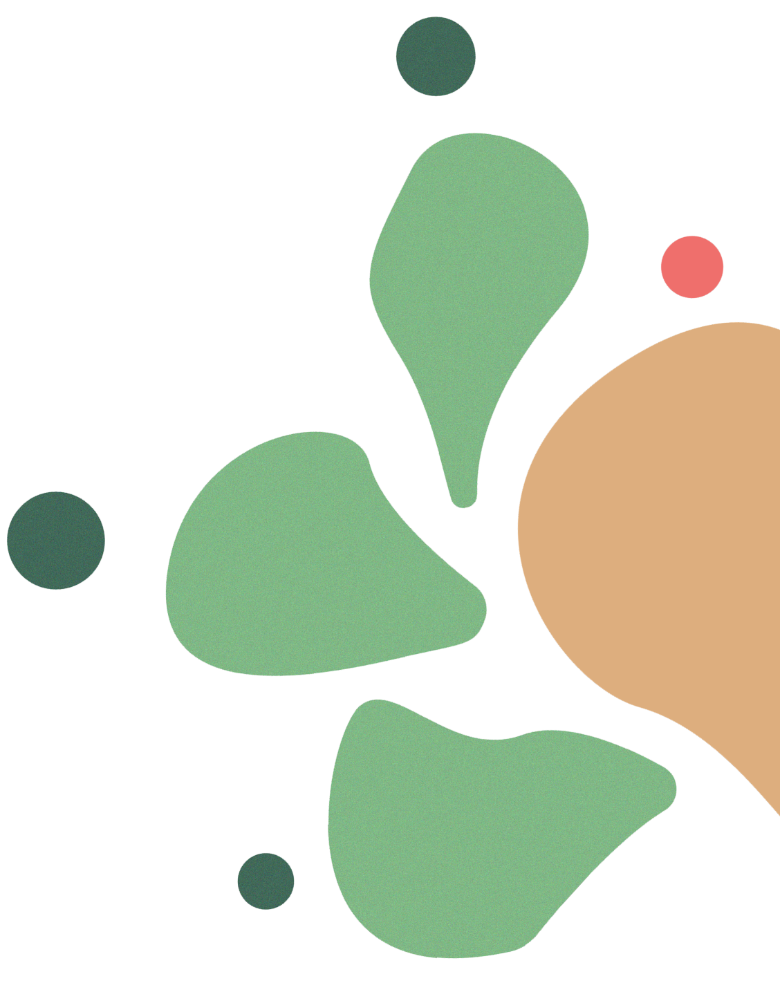 Digital Cactus
